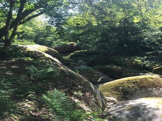 Maison de vacances Huelgoat Environnement 31