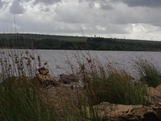 Casa de vacaciones Huelgoat Entorno 29