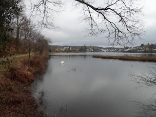 Casa de vacaciones Huelgoat Entorno 25