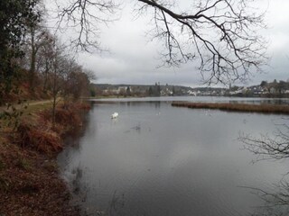 Vakantiehuis Huelgoat Omgeving 25