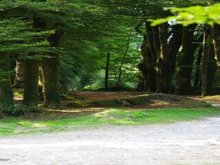 Ferienhaus Huelgoat Umgebung 36