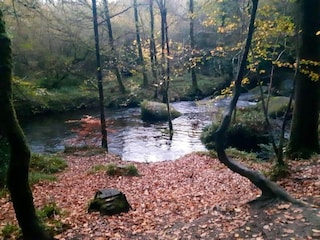 Ferienhaus Huelgoat Umgebung 28