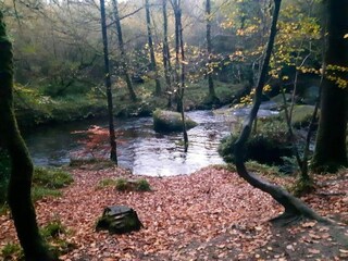 Ferienhaus Huelgoat Umgebung 34