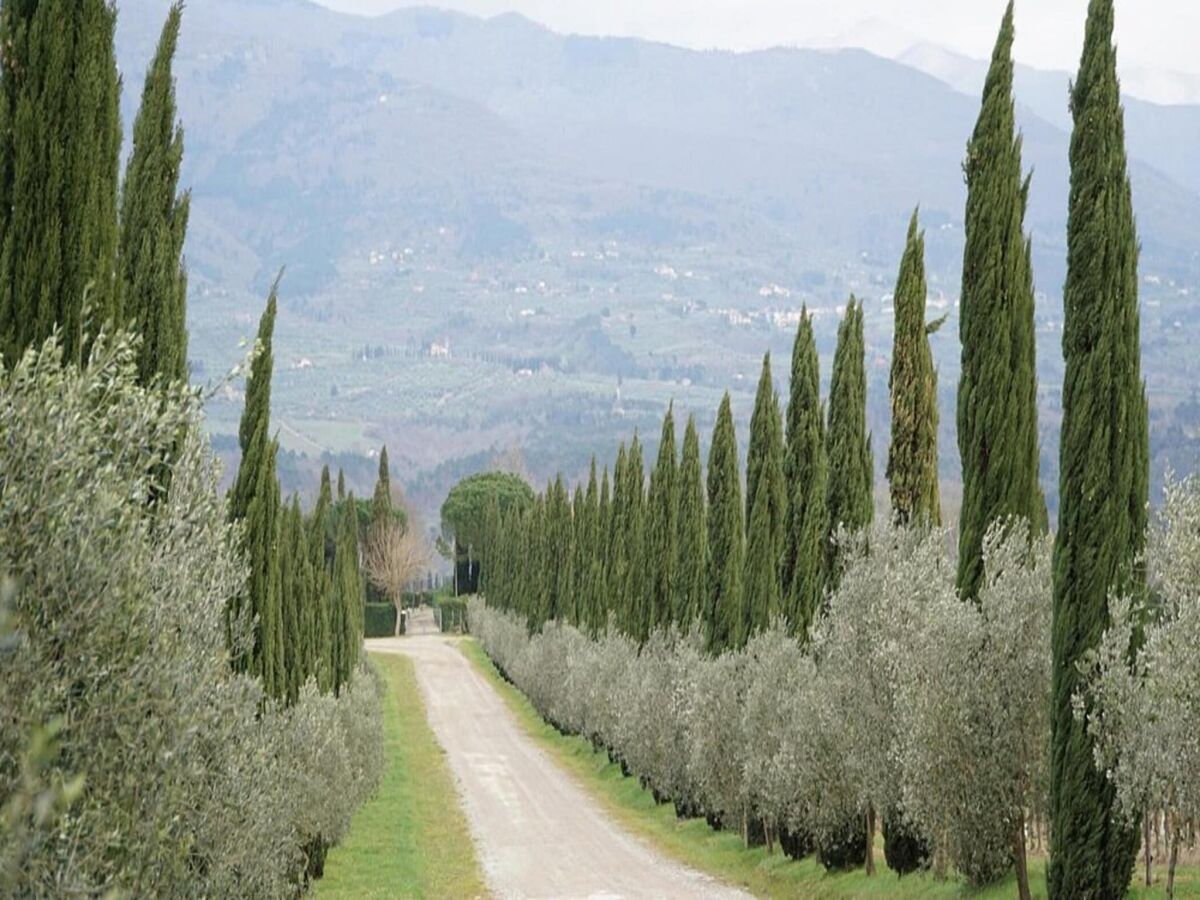 Ferienpark Rignano sull'Arno Umgebung 23