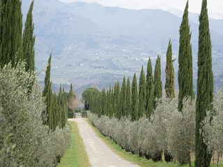 Ferienpark Rignano sull'Arno Umgebung 18