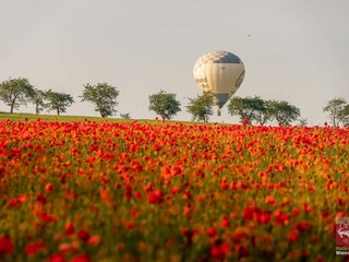 Apartamento de vacaciones Wernigerode Entorno 37