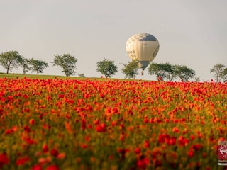 Vakantieappartement Wernigerode Omgeving 37