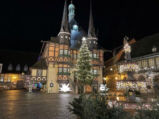 Apartamento de vacaciones Wernigerode Entorno 40