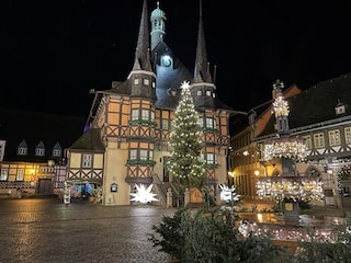 Vakantieappartement Wernigerode Omgeving 40