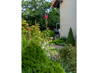 Apartamento de vacaciones Wernigerode Grabación al aire libre 9