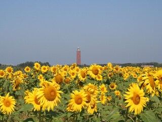 Casa per le vacanze Ouddorp Ambiente 20