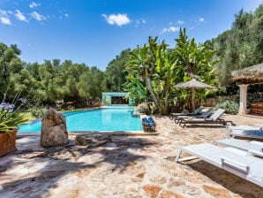 Holiday house Finca Son Pavo Real - Santanyi - image1