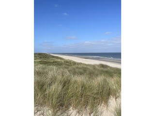 Casa per le vacanze Domburg Ambiente 29