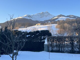 Apartment Lopez - Aussicht aufs Kitzbüheler Horn