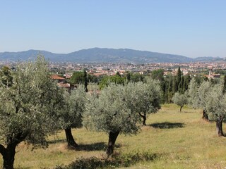 Villa Pistoia Außenaufnahme 11