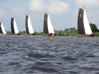 Ferienhaus Grou Umgebung 40