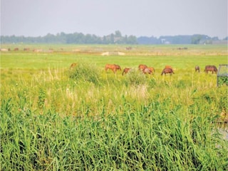 Maison de vacances Grou Environnement 37