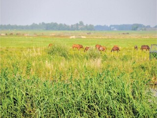 Vakantiehuis Grou Omgeving 39