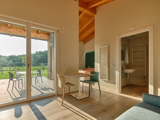 Appartamento Soiano del Lago Caratteristiche 14