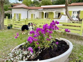 Appartamento Capoliveri Ambiente 23