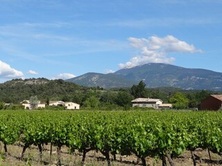 Villa Malaucène Ambiente 26