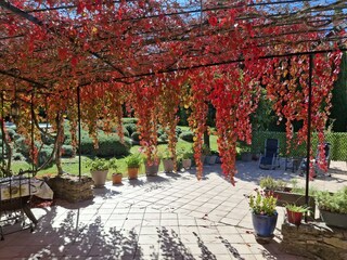 Villa Malaucène Außenaufnahme 9