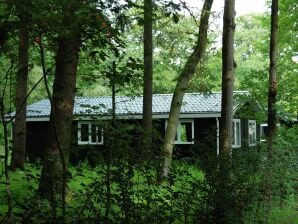 Parc de vacances Belle maison entourée de forêt - De Bult - image1