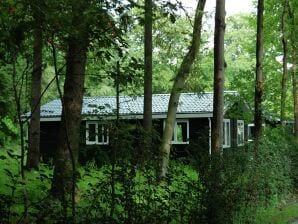 Holiday park Nice House surrounded by forest - De Bult - image1