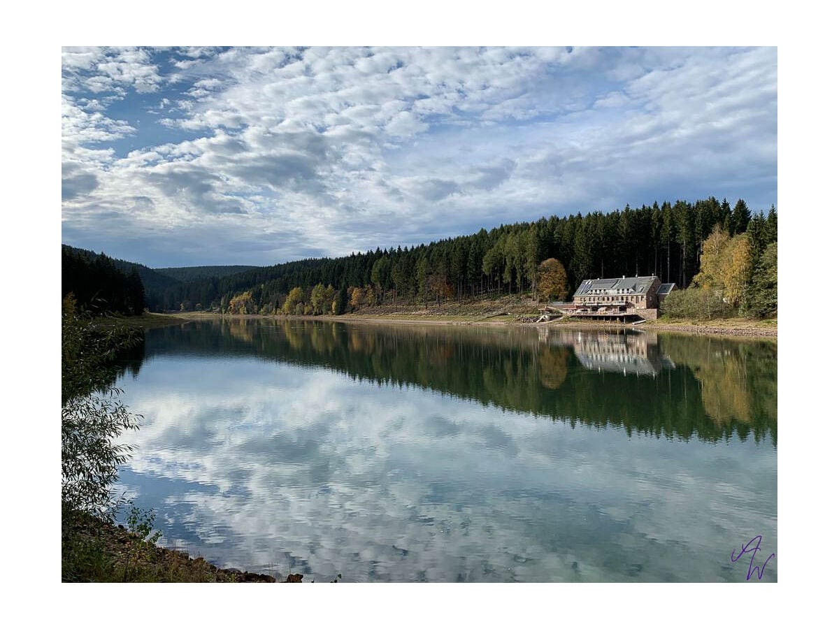 Holidayhaus-Blick über die Talsperre