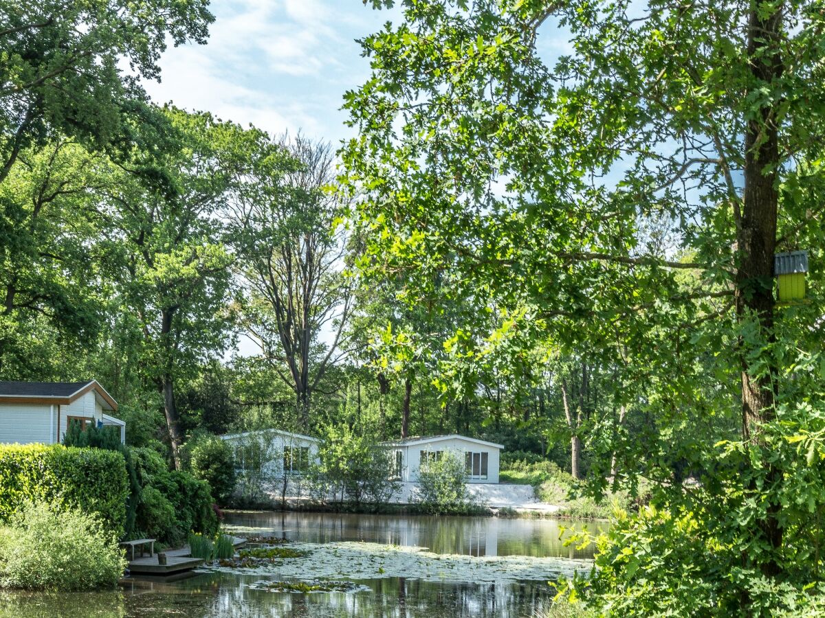 Ferienpark De Bult Außenaufnahme 5