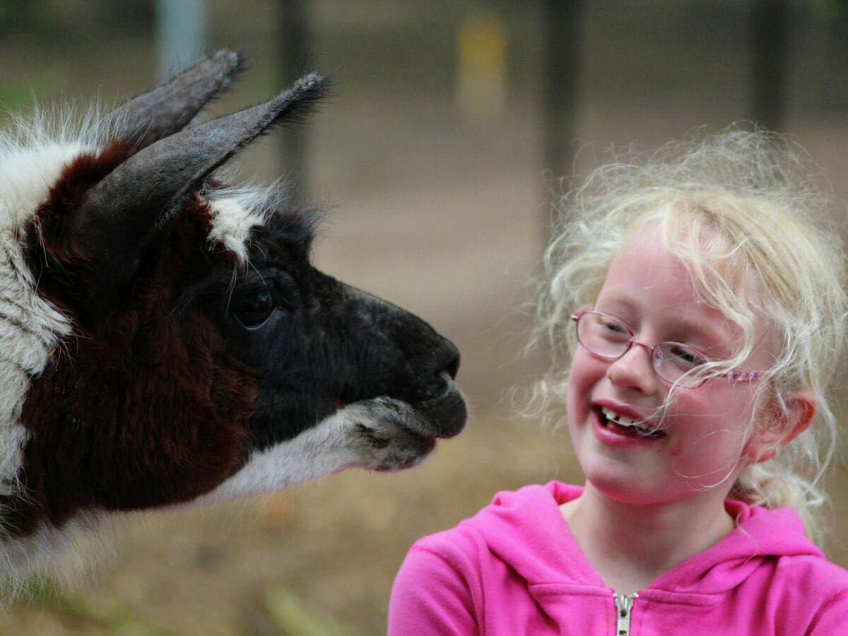 Ferienpark De Bult  21