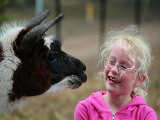 Ferienpark De Bult  28
