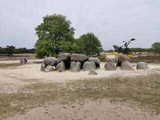 Vakantiepark De Bult Omgeving 16