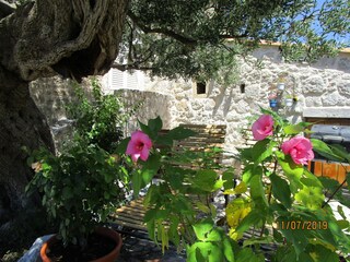 Appartamento per vacanze Dubrovnik & Umgebung Ambiente 4