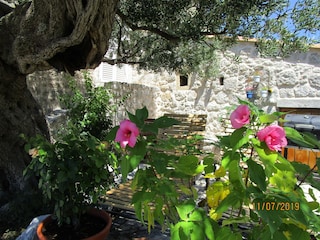 Vakantieappartement Dubrovnik & Umgebung Omgeving 4