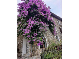 Appartamento Brezzo di Bedero Ambiente 17