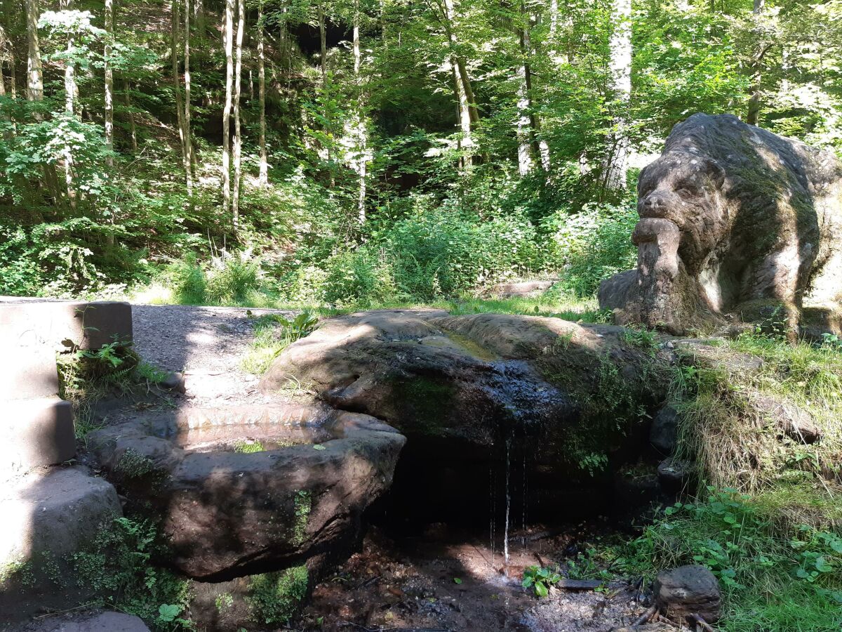 Bei der Bärenhöhle