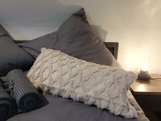 Appartamento Dahn Caratteristiche 40