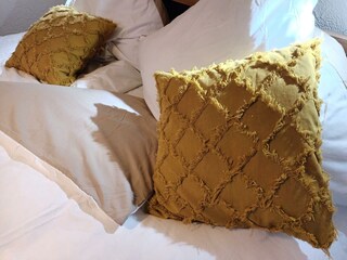 Appartamento Dahn Caratteristiche 45