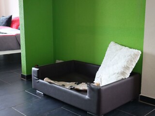 Apartamento Pirmasens Grabación al aire libre 19