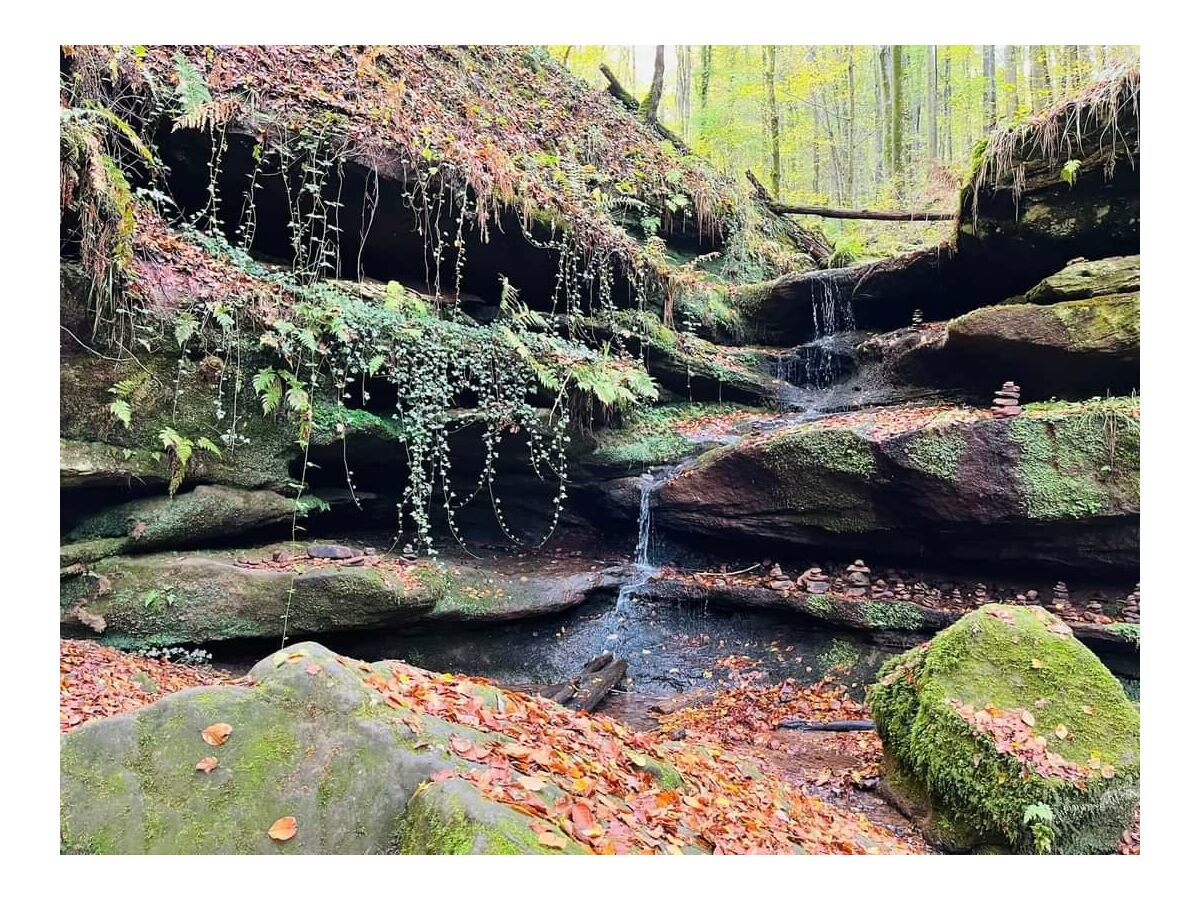 Hexenklamm Pirmasens-Winzeln