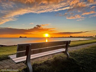 Appartement de vacances Döse Environnement 23