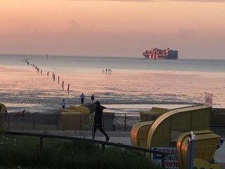 Appartement de vacances Döse Environnement 25