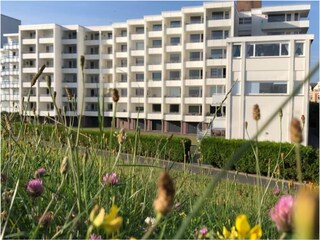 Appartement de vacances Döse Enregistrement extérieur 2