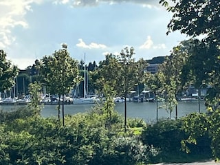 Blick auf die Schlei