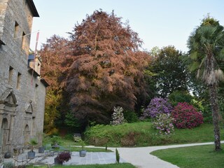 Blick auf den Park mit dem Herrenhaus