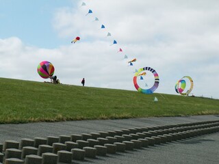 Drachenfest