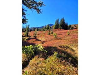 Herbstbild Kleine Scheidegg