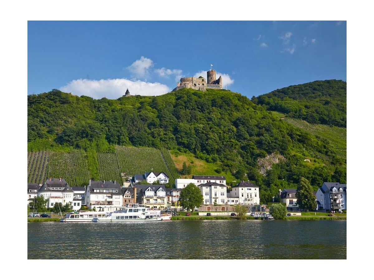 Villa Mosella Blick auf Mosel Villa Burg Landshut