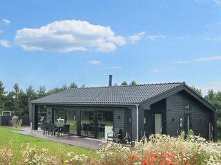 Vakantiehuis Marielyst Buitenaudio-opname 2